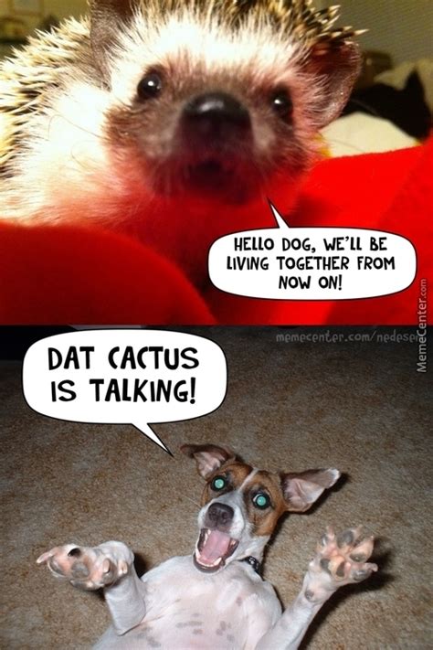 Talking Dog Memes Best Collection Of Funny Talking Dog