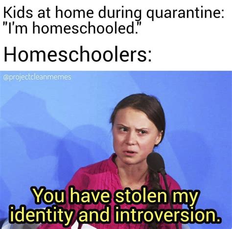 These Memes About Homeschooling Will Make You Ready For The New School