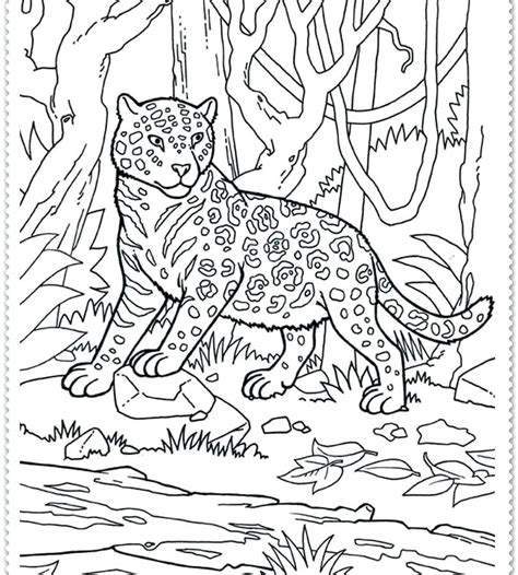 Jungle Coloring Pages For Adults At Free Printable