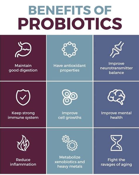 Benefits Of Probiotics Especially For Digestive System Inturn For Brain