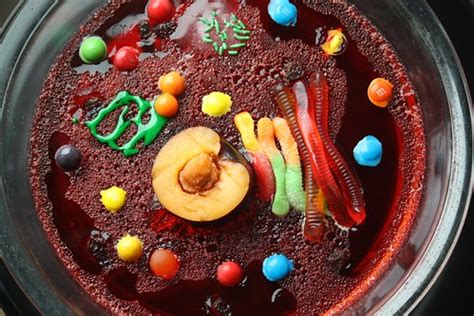 Plant cell model using food. Edible Animal Cell Model {Biology Project} ~ Mosaic of Grace