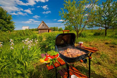 eine perfekte grillparty am gartenhaus tipps und tricks wie sie ihre gartenerzeugnisse zum