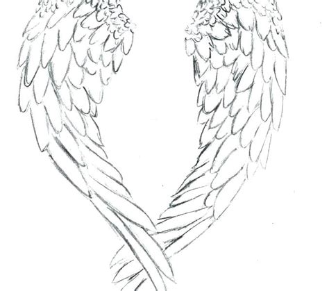 4,000+ vectors, stock photos & psd files. Angel Wings Coloring Pages at GetColorings.com | Free ...