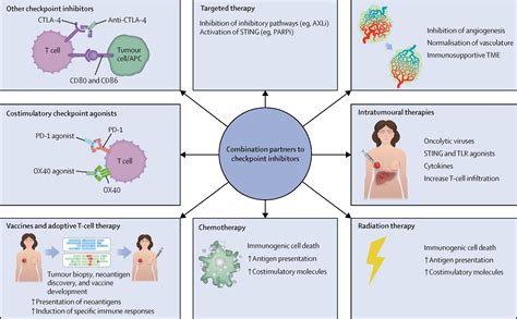 Enhancing Anti Tumour Efficacy With Immunotherapy Combinations The Lancet