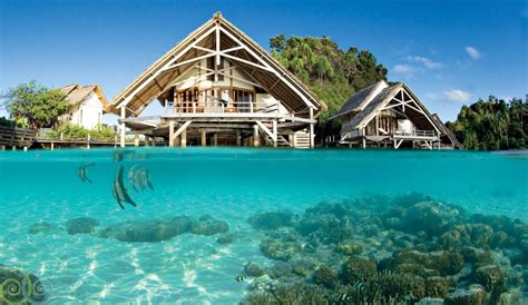 Misool Island Raja Ampat Tour Packages Islands Hopping Yoexplore