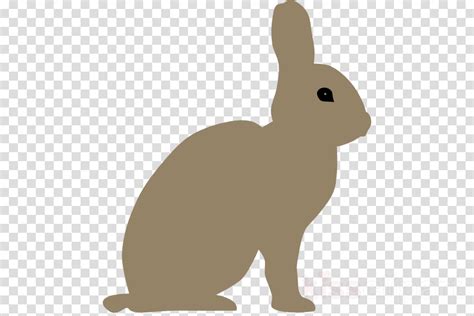Clipart Bunny Snowshoe Rabbit Clipart Bunny Snowshoe Rabbit