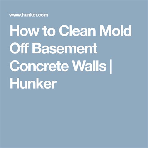 Don't settle for expensive and poor cleaning work. How to Clean Mold Off Basement Concrete Walls | Hunker ...