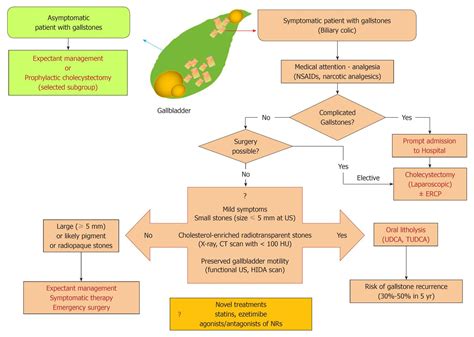 Therapy Of Gallstone Disease What It Was What It Is What It Will Be