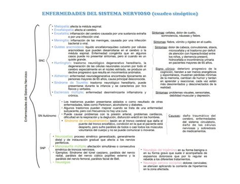 Cuadro Sinoptico De El Sistema Nervioso Creampie The Best Porn Website