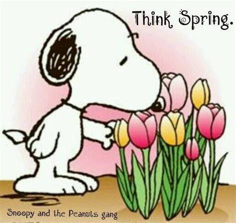 Have A Simply Amazing Day Love And Blessings Snoopy Pictures Snoopy