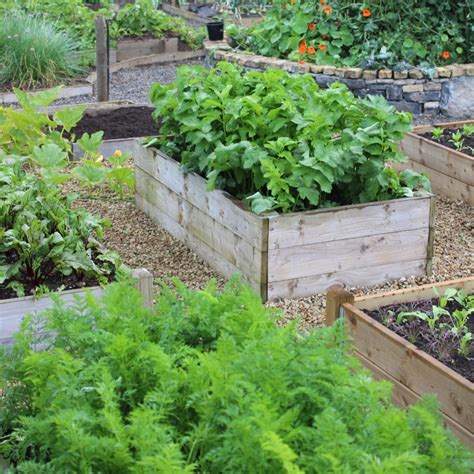 The beds do not have to be very high off the ground to get the benefits from being in a raised bed. Why Use Raised Bed Kits For Vegetable Gardening & How To