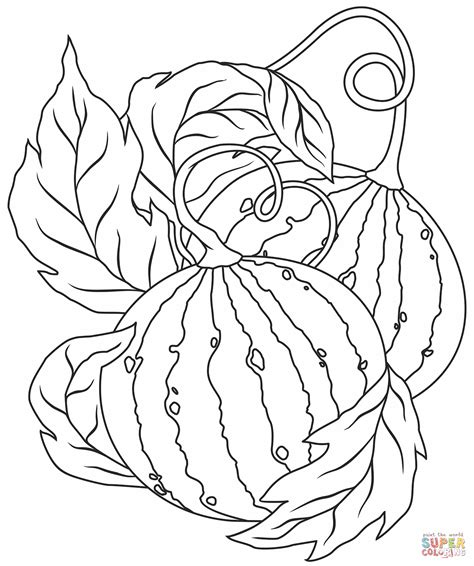 Watermelon Printable Coloring Pages