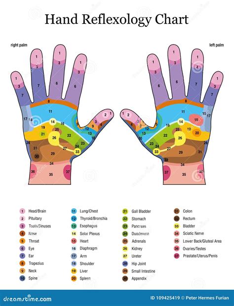 Hand Reflexology Map Revisiting Reflexology Concept Evidence Current