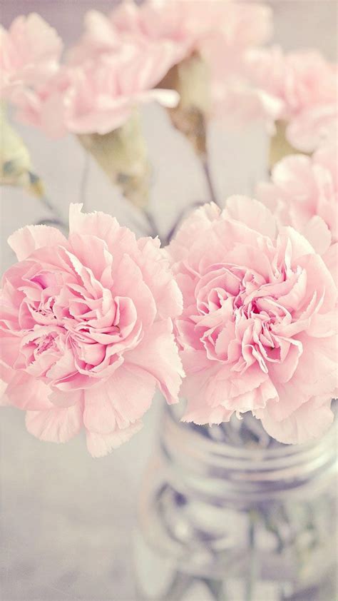 Pretty Pink Flowers Pastel Wallpaper Iphone Background