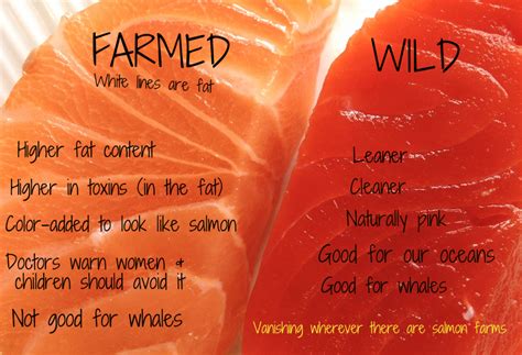 Wild Caught Salmon Vs Farm Raised Salmon Papa Earth