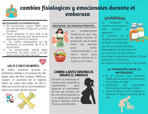 Cambios Fisiol Gicos Y Emocionales Durante El Embarazo Udocz