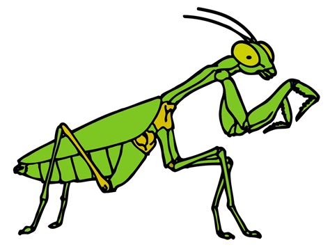 Free Insect Clip Art Clipart Best