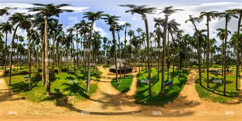 360° View Of Palmentuin 2 Paramaribo Suriname Alamy