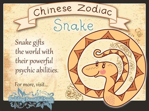 Chinese Zodiac Snake Child Personality And Traits Chinese Zodiac For Kids