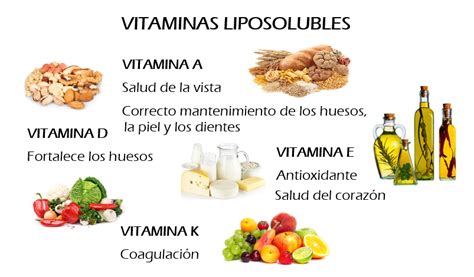 Locosxloeco Vitaminas Ii Las Vitaminas Liposolubles