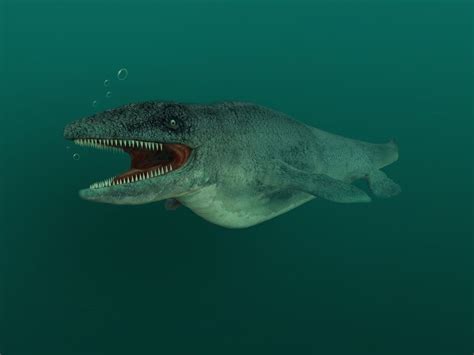 8 Biggest Sea Monsters Ever Sea Monsters Deep Sea Creatures Big Sea