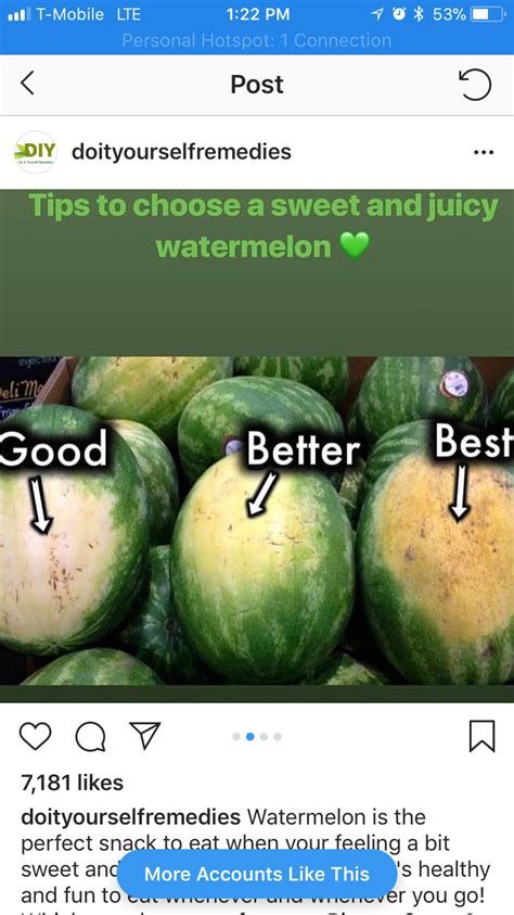 Watermelon Tips Tips Hot Spot Watermelon