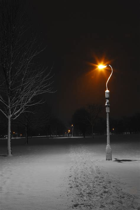 Street Lamps At Night In Winter Free Stock Photo Public Domain Pictures