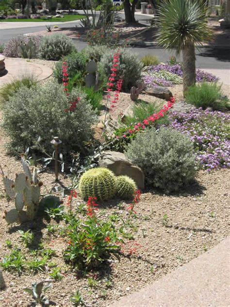 We'll be there from the beginning of your dream lawn and garden. Landscape Design Tucson, AZ | Sonoran Gardens Inc.