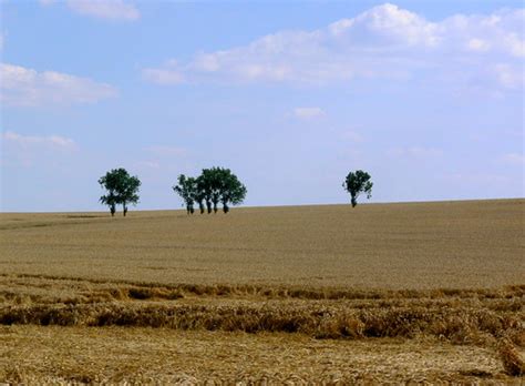 Es ist weitgehend flach, bis auf anteile am harz im süden. Landschaft in Sachsen-Anhalt | paesaggio nel Sachsen ...