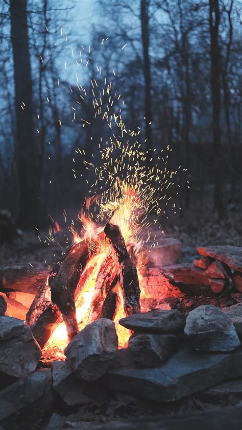 Camping Burning Camp Fire Flames Nature Night Trees Wood Hd