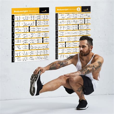 Buy Vol 12 Bodyweight Exercise Poster 2 Pack Laminated Total Body