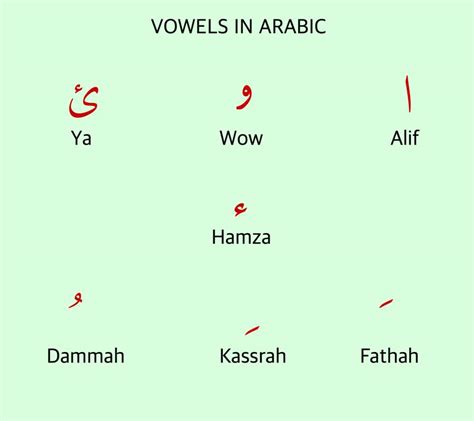 What Is Harakat In Arabic A Comprehensive Guide With Examples And