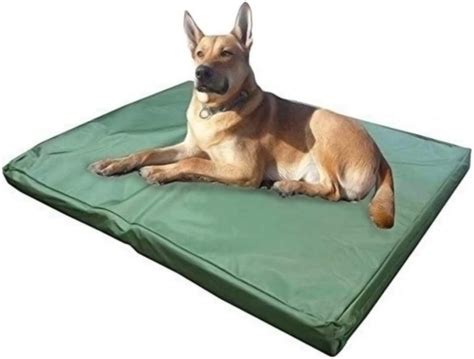 Best Waterproof Dog Beds 2020 Luxury Dog T