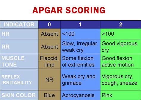 The Apgar Score