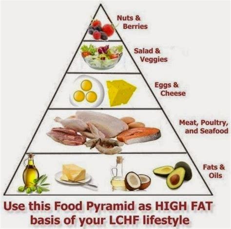 Foods High In Protein Low In Fat And Carbs XXX Porn Library