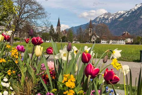 22 Best Things To Do In Interlaken Switzerland