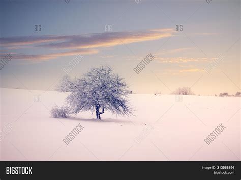 Winter Landscape Image And Photo Free Trial Bigstock