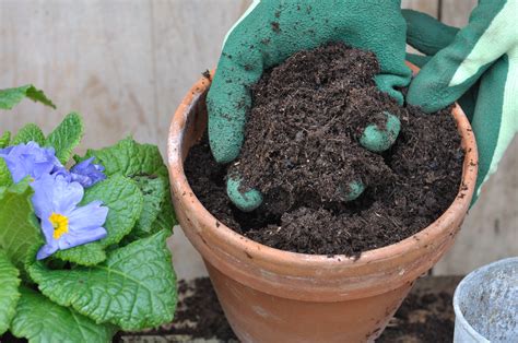 DIY Potting Soil Recipes For Mixing Potting Soil At Home Modern Farmer