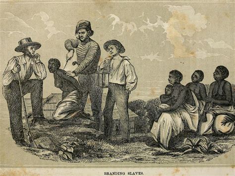 Black Plantation Slave Sex Toons Telegraph