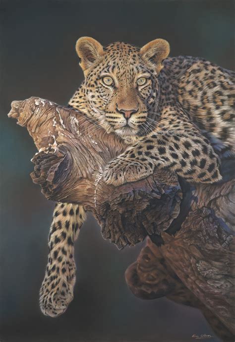 Eric Wilson Fine Art Paintings Of Leopards Fine Art Leopard Paintings