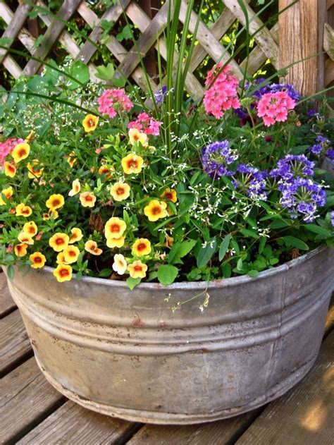 We've improved on a classic favorite by adding more flowers on more densely branched plants for this series. Flowers For Full Sun Heat | pot contains four types of ...