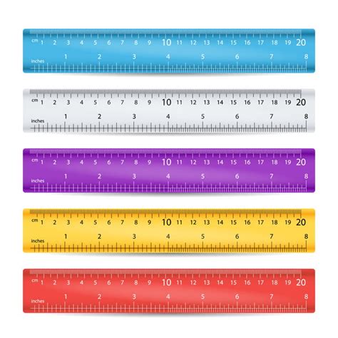 School Plastic Ruler Vector Measure Tools Equipment Colorful