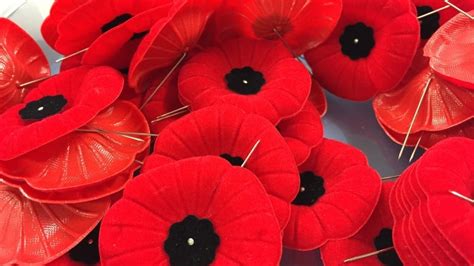 5 Things You Should Know About Poppy Etiquette For Remembrance Day Cbc News