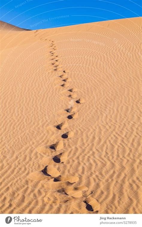 Sand Dune In Sunrise In Desert With Human Footsteps A Royalty Free