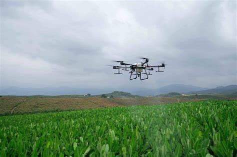 Drones Na Agricultura Quais São Os Melhores E Como Usá Los Hpdrones