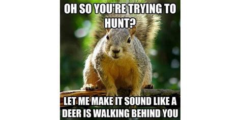 10 Funny Hunting Memes