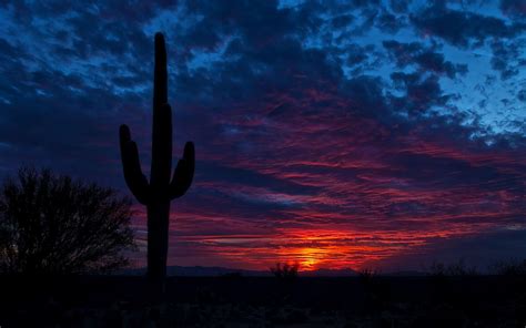 Arizona Sunset Wallpapers Top Free Arizona Sunset Backgrounds