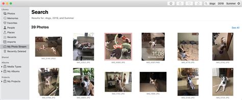 How To Easily Search For Images And Videos In Photos On Mac Blogwolf