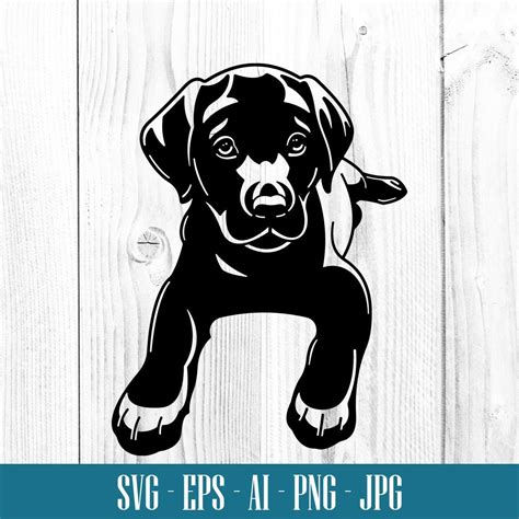 Chocolate Labrador Puppy Svg Dog Digital Clip Art Dog Svg Etsy