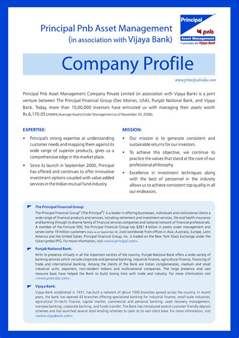 How To Write Business Profile Template Professional Sample Template
